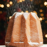 Artisanal Pandoro (750g)